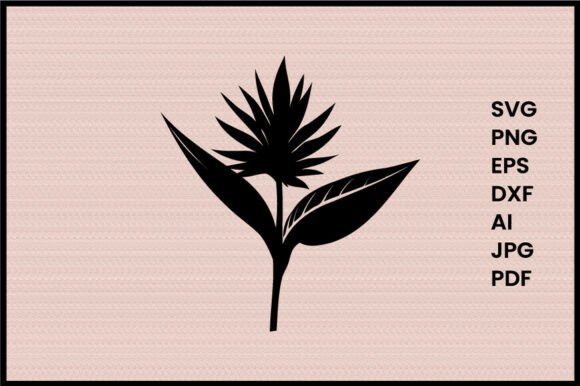 Bird of Paradise Leaf Illustration
